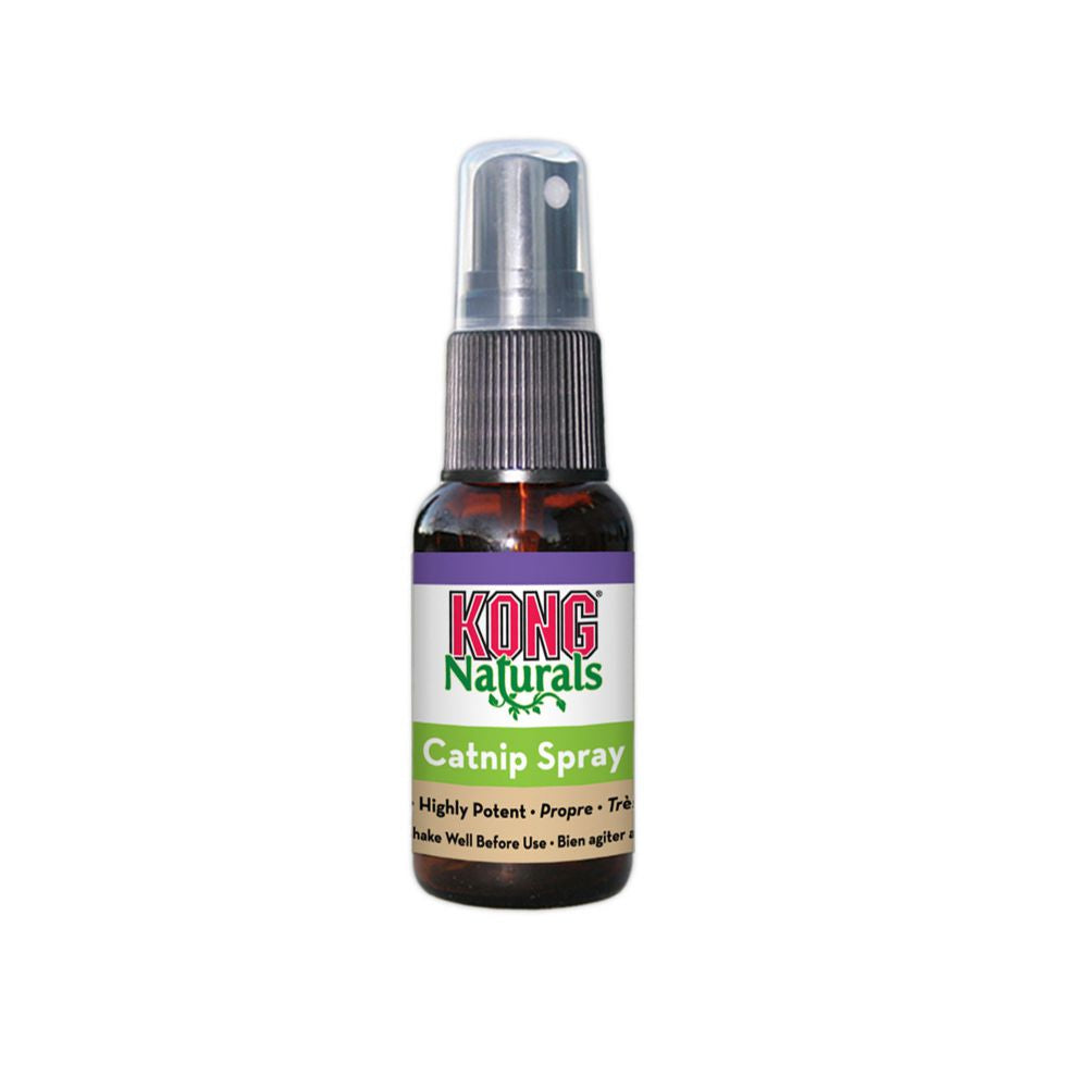 KONG | Naturals Catnip Spray | ARMOR THE POOCH